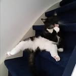 Jeffrey Evers - @jeffrey_evers_dh - Instagram