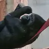 Jeffrey Evers - @jeffrey.evers3 - TikTok