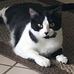 Jeffrey Everson - Facebook