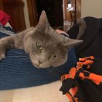 Jeffrey Fellows - @jlfellows - Instagram