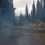 Jeffrey Fellows - @fellowsjeffrey - Instagram