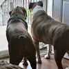 Jeff Firebaugh - @jeff.firebaugh - TikTok