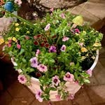 Jeffrey_Fleet - @jeff.reyfleet - Instagram