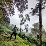 Jeffrey Galeano Gil - @jeffreygaleano - Instagram