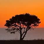 Jeff Glazer - @jeffreyglazer - Instagram