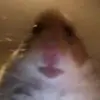 Jeffrey_voldigoad - @jeffrey_voldigoad - TikTok
