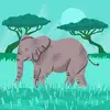 jeffreygrabowski - @jeffreygrabowski - TikTok