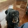 Jeff - @jeffreygraham298 - TikTok