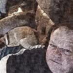 Jeffrey Greig - @kwiqson - Instagram