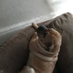 Jeffrey Greig - @greig7380 - Instagram