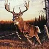 jeffreygunderson - @jeffreygunderson - TikTok