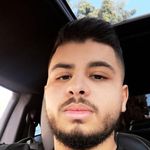 Jeffrey the Puppy. - @jeffreyhaddad_therealone - Instagram