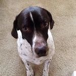 Jeffrey Hammack - @hammackjeffrey - Instagram