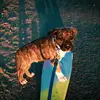 jeffrey__harbin.57202 - @jeffrey__harbin.57202 - TikTok
