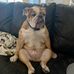 Jeffrey Harbison - Facebook