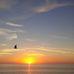 Jeff Hedberg - Facebook
