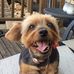 Jeff Hedberg - Facebook