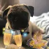 heiseljfrey - @heiseljfrey - TikTok