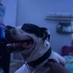Jeffrey Hills Jr. - @jayyvngg - Instagram