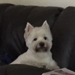 Jeffrey Hine - @hine.jeffrey - Instagram