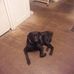 Jeff Dwayne Hott - Facebook