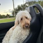 Jeffrey Hoffmann - @jeffreyhottmann_01 - Instagram