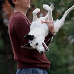 Jeffrey Hurt - @jeffrey.hurt - Instagram