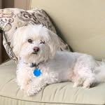 Jeffrey Jarman - @jeffrey.jarman - Instagram