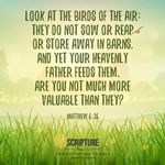 Jeffrey Javier Manalo - @jeffreyjaviermanalo - Instagram