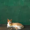 jeffreyjorge613 - @jeffreyjorge613 - TikTok