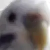 Jeffrey Keiser - @jeffreykeiser246 - TikTok