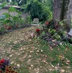 Jeff Kemmerer - Facebook