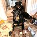 Jeffrey Kemmerer - Facebook