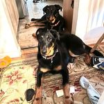Jeffrey Kemmerer - @jpkemmerer - Instagram