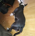 Jeffrey Kimbrough - Facebook