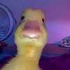 Jeffrey Kohl - @jeffreykohl718 - TikTok
