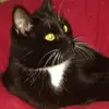 jeffreylackey - @jeffrey.lackey - TikTok