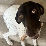 Jeffrey Lamm - @lammagramm - Instagram