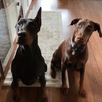 Jeffrey Larry - @jeffreylarry849 - Instagram