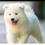 Jeffrey Larry - @jeffreylarry02 - Instagram