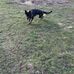 Jeff Ledbetter - Facebook
