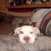 Jeffrey Leming - Facebook