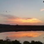 Jeffrey Le Roux - @jeffrey_le_roux - Instagram
