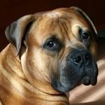 Jeffrey Lindeman - @jeffrey_lindeman - Instagram