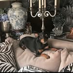 Jeffrey Little - @jeffreylittle247 - Instagram