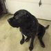 Jeff Litzinger - Facebook