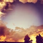 Jeffrey Luckett - @expertdavman - Instagram