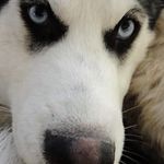 Jeff MacMillan - @jeffrey.macmillan - Instagram