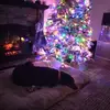 jeffreymador - @jeffreymador - TikTok