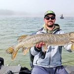 Jeffrey Major - @majorexperience - Instagram